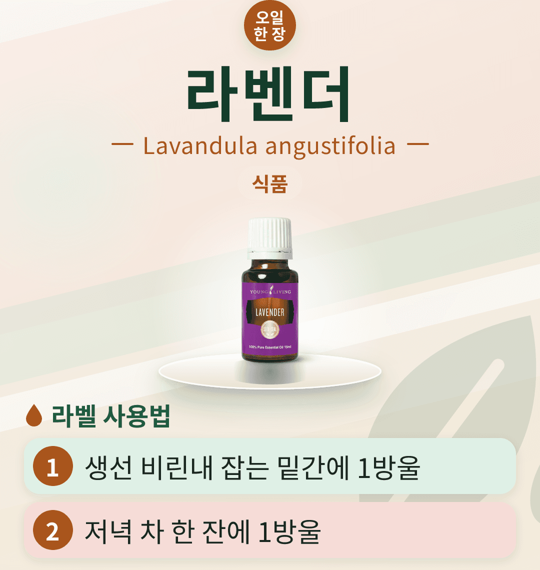 라벤더 카드뉴스. 학명, 국내 분류 식품, 라벨 사용법 두 가지.